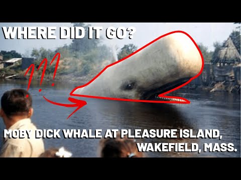 What Happened to Moby Dick at Pleasure Island, Wakefield, MA?