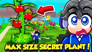 I Got A MAX SIZE SECRET PLANT In Plants vs Brainrots AND IT'S OP!