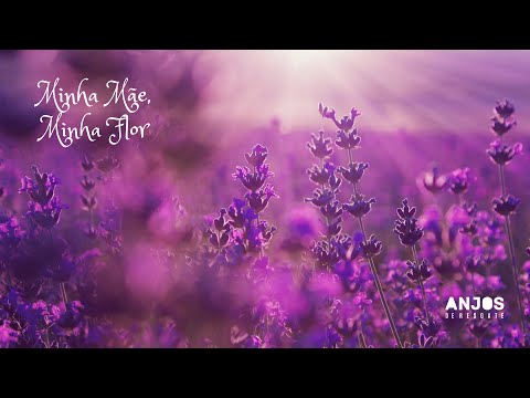 Minha Mãe, Minha Flor - Anjos de Resgate (Ressonhar)