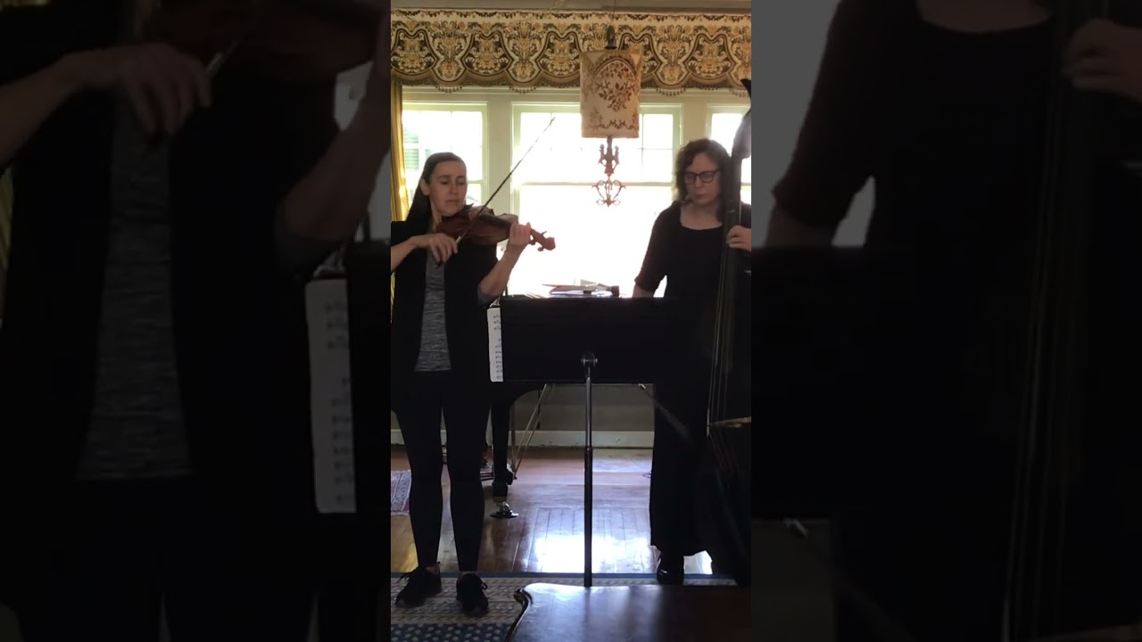 Promotional video thumbnail 4 for Strolling strings