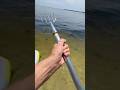 Look What I Catch With A SPEAR Fishingvideo Saltwaterfix Fishing