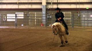 Shine And Spark - Limited Non Pro - IRHA Farmington, Utah