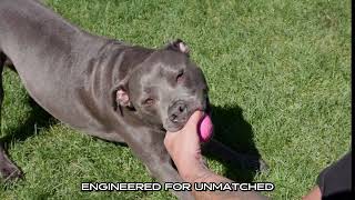 Monster K9 Chew Ring – Durable Dog Toy for Aggressive Chewers – Natural Rubber – 6.5” – Made in USA