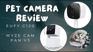 Comparing Eufy vs Wyze as Pet Cameras