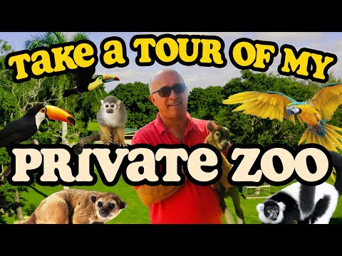 Welcome to My Zoo! | Private Tour of H.L.'s Menagerie Part 1