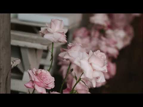 [free for profit] sad acoustic guitar type beat no drums / instrumental "skeleton" (prod. acey)