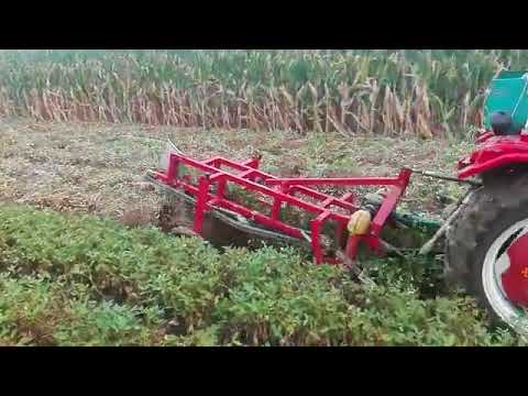 Groundnut harvester