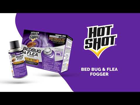 Lowes Flea Trap