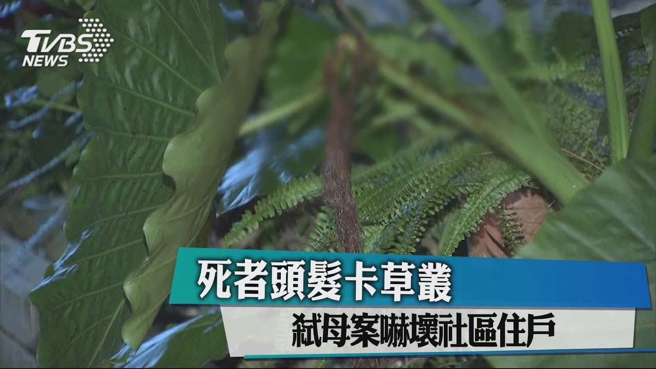 死者頭髮卡草叢 弒母案嚇壞社區住戶