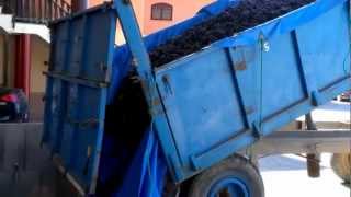 preview picture of video 'Volcado de la uva a la tolva de la bodega durante la vendimia en Bodegas Viña Vilano.mp4'