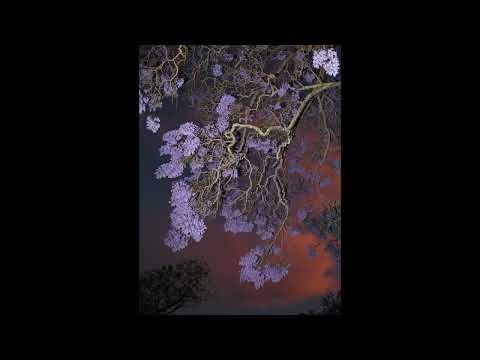 [FREE] h jeunecrack + abel31 type beat - "gtr einfache" (p. 6min)