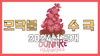 모닥불 수국 들어보셨나요?! 유럽현지에서 최고로 평가받는 2024년 최고의 유망주 식물! 본파이어 그리고 가…