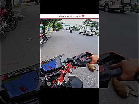 Monkey Ko Ladki Ne Thok Diya 😭💔#motovlog #viral #crash #monkey #sad #accident #new #reels