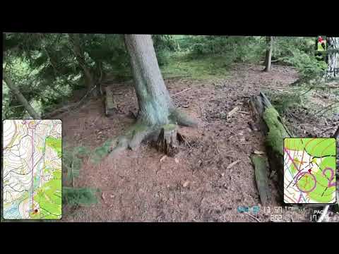 Orienteering 2020 ( 06.09.2020 - 3. Lauf zur Regensburger OL-Tour)