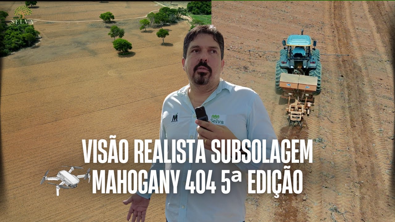 VISÃO REALISTA - SUBSOLAGEM MAHOGANY 404 5ª EDIÇÃO