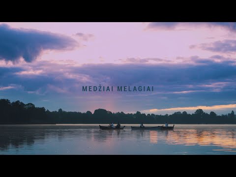 VELVET – MEDŽIAI MELAGIAI (OFFICIAL VIDEO)