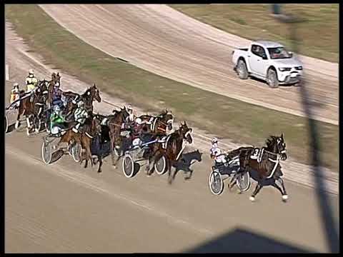 Trotto 11/06/2020 - 10ª corsa