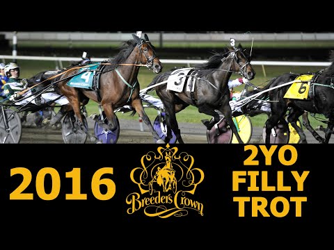 2016 Breeders Crown - Ariana G - 2FT