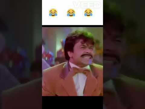 Dil Di Nazar Video Song | Maine Pyaar Kyun Kiya #mainepyaarkyunkiya #comedy #funny #rajpal #shorts