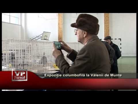Expoziție columbofilă la Vălenii de Munte