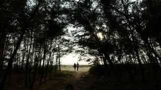 Download lagu Thoda Thoda - Aao Sune Mashup by Delsy Ninan & Shouvik Ghoshal mp3 Download lagu Thoda Thoda - Aao Sune Mashup by Delsy Ninan & Shouvik Ghoshal mp3