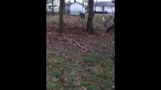 Homerun derby round 2 Homerun derby round 2