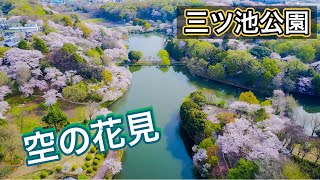県立三ツ池公園　日本さくら名所100選