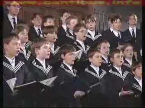 Thomaner Chor Leipzig "Maria Durch ein Dornwald ging"