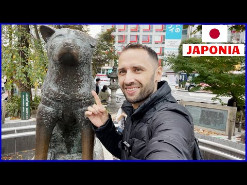 JAPONIA, prima impresie! PROBLEME din prima zi - BLOCATI in HOTEL in cea mai scumpa tara