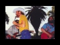 The Beach boys Live 80　Cotton Fields Heroes and Villains