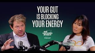 Detox & Gut Health Basics — Full Breakdown & Transcript