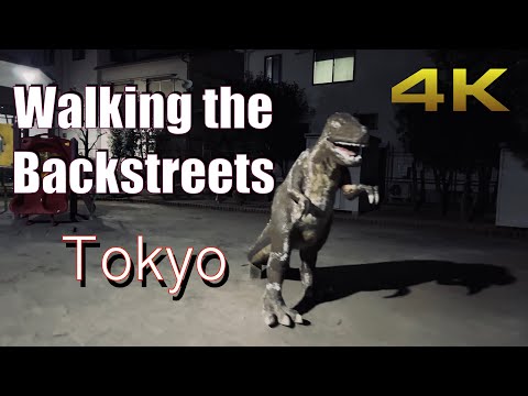 [4K] Tokyo Night Walk | Walking through the unfamiliar backstreets of Tokyo, Japan.