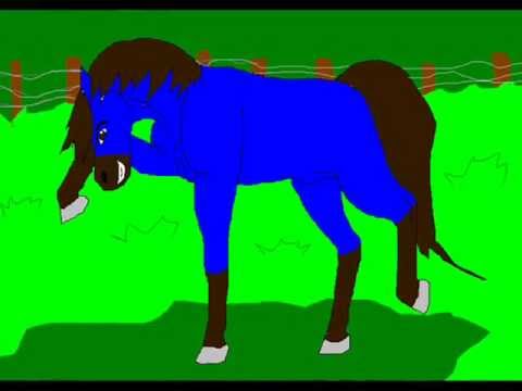 Awake and Alive - Horse Animation