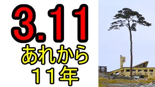 311から１１年、今おもうこと