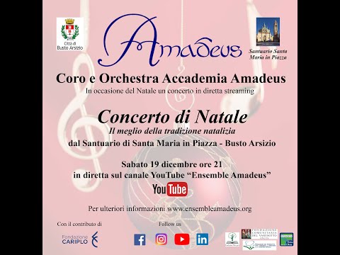 Concerto di Natale - Coro e Orchestra dell'Accademia Amadeus