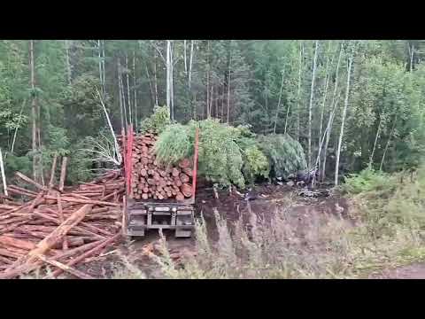 #дтп лесовоз на братской трассе