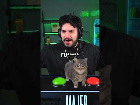 Hot or Not, OIIA REMIX - W&W