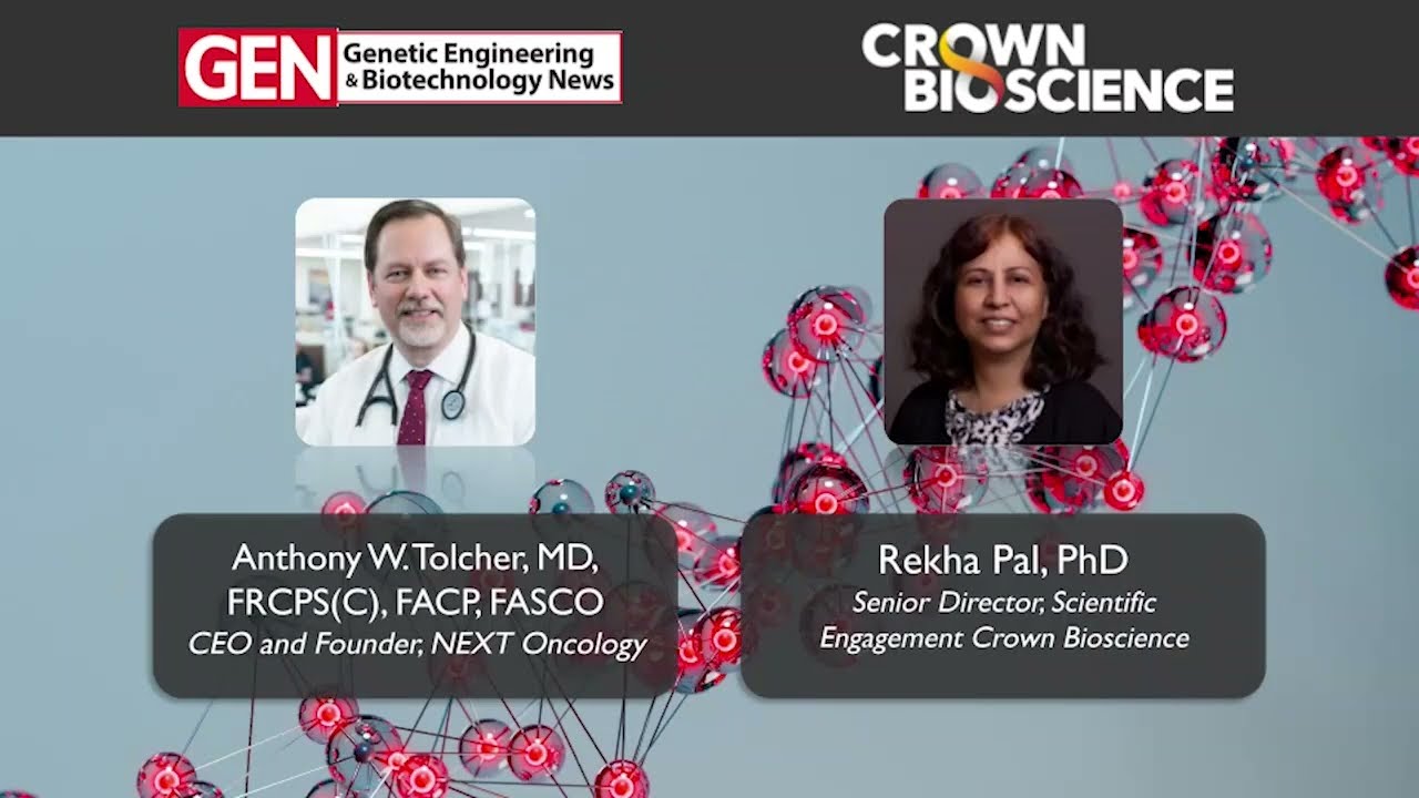 From Models to Patients Harnessing Pretreated PDX Models for Precision Medicine