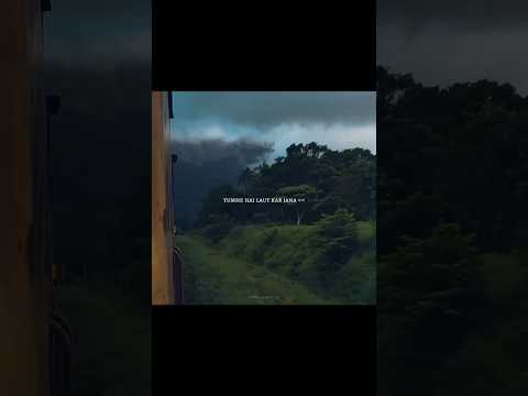 Reel tagged #lyrics