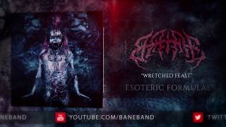 BANE - Wretched Feast (feat. Giulio Moschini from HOUR OF PENANCE)