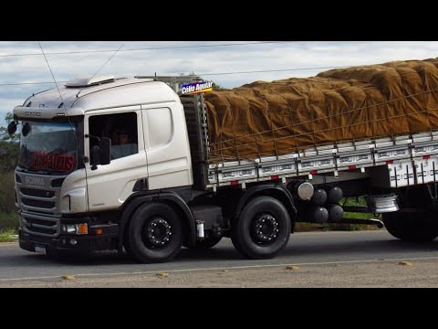 MELO DE CARLA CINTIA LIMPO | REGGAE DO MARANHÃO 2020