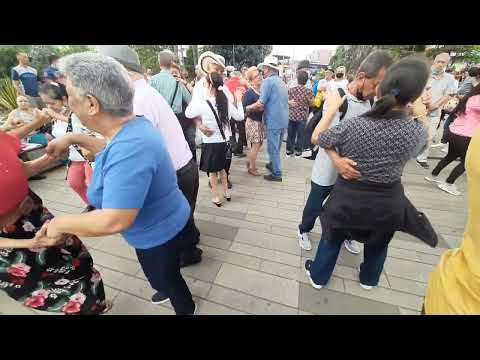 Los integrados parranderos. Tócame el aguacate. Marzo 12 2022.