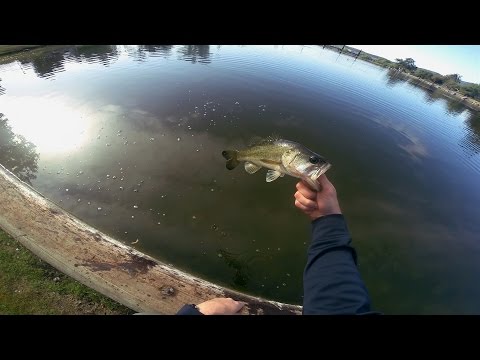 GoPro: Matthew Bray - Best Catch 4.11.15 - Fish