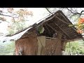 Traviezos de la Sierra - Los Tiempos han cambiado, y otra vez en el rancho "R. Avila"