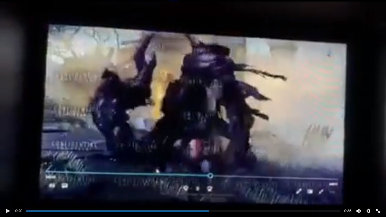 ELDEN RING 34 SECONDS OF THE LEAKED TRAILER (with audio