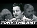Tony the Ant: The Notorious Life of Anthony Spilotro
