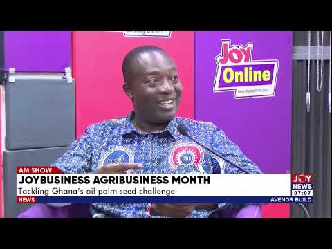 JoyBusiness Agribusiness Month: Tackling Ghana's oil palm seed challenge