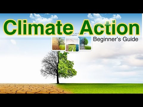 "What is Climate Action? (Simple Beginner's Guide 2025)"