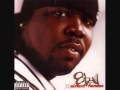 EIGHTBALL TOP NOTCH FREESTYLE