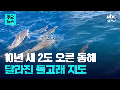 10년 새 2도 오른 동해..달라진 돌고래 지도